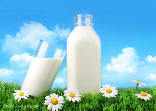 國產乳制品能放心喝嗎？進口不一定是優質的同義詞